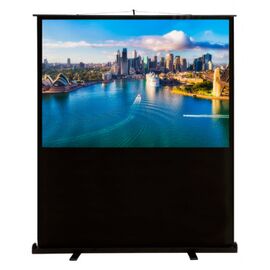  Экран Cactus 120x160см FloorCompactExpert CS-PSFLCE-160X120 4:3 напольный рулонный 