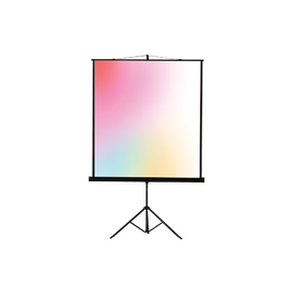  Экран Lumien Eco View (LEV-100109) White 