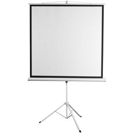  Экран 200x200см Digis Kontur-D DSKD-1106 1:1 напольный рулонный 