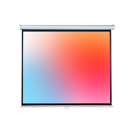  Проекционный экран Lumien Eco Picture (LEP-100113) Matte White 