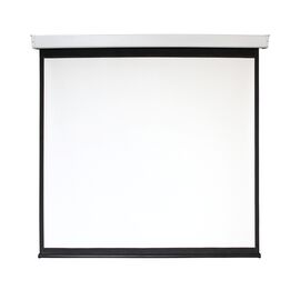  Экран Digis Electra-F DSEF-1109 156" 280x280см 1:1 настенно-потолочный рулонный (моторизованный привод) 