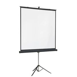  Экран Lumien Master View LMV-100105 на треноге 131" 244x244см 1:1 напольный рулонный 