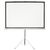  Экран Cactus 180x180см Triscreen CS-PST-180x180 1:1 напольный рулонный белый 