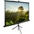  Экран Cactus 200x200см TriExpert CS-PSTE-200x200-BK 1:1 напольный рулонный черный 