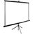  Экран Cactus 200x200см TriExpert CS-PSTE-200x200-BK 1:1 напольный рулонный черный 