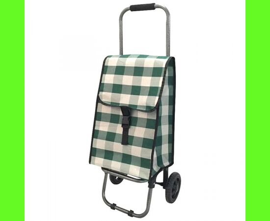  Сумка-тележка РЫЖИЙ КОТ D203 Green (093581) 