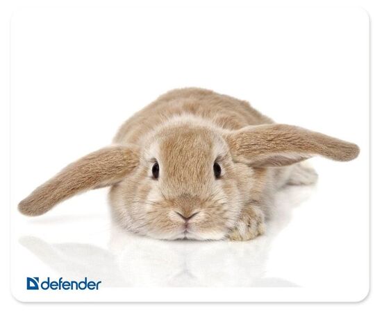 Коврик для мыши DEFENDER Silk (50706) Assorti 