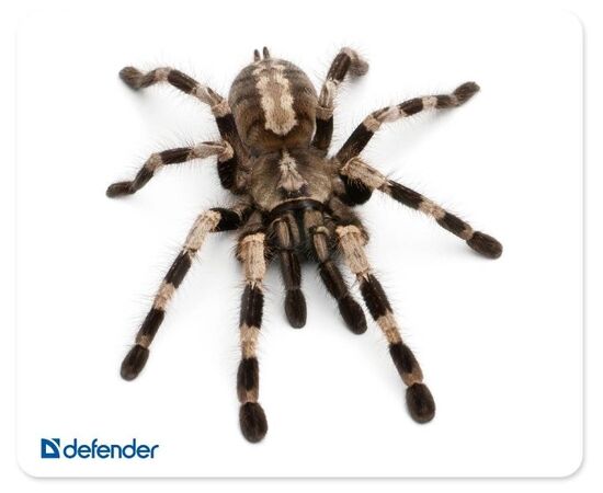  Коврик для мыши DEFENDER Silk (50706) Assorti 