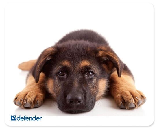  Коврик для мыши DEFENDER Silk (50706) Assorti 