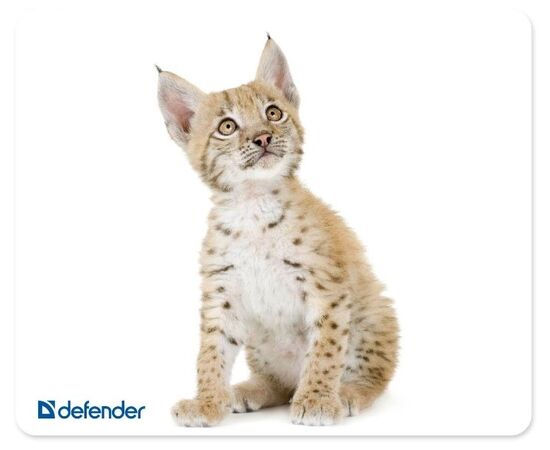  Коврик для мыши DEFENDER Silk (50706) Assorti 