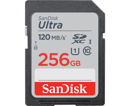  Карта памяти SanDisk 256GB SDSDUN4-256G-GN6IN 