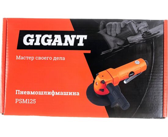  Пневмошлифмашина Gigant PSM125 