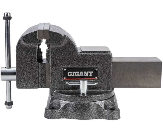  Тиски слесарные Gigant Professional GP-BV-125 