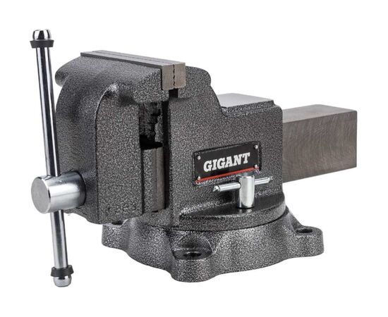  Тиски слесарные Gigant Professional GP-BV-125 