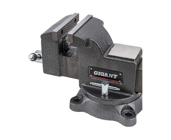  Тиски слесарные Gigant Professional GP-BV-125 