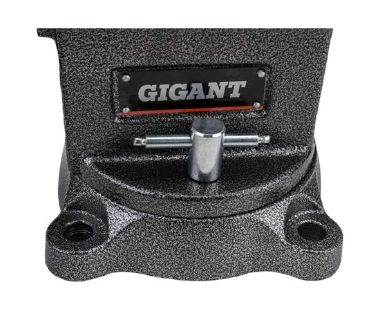  Тиски слесарные Gigant Professional GP-BV-125 