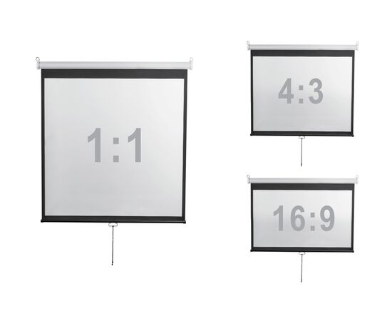  Экран Digis Optimal-D DSOD-16906MW 120" 273x159см 16:9 настенный рулонный белый 
