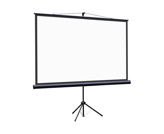  Экран Lumien Eco Picture LEV-100113 84" 192x110см 16:9 напольный натяжной черный 