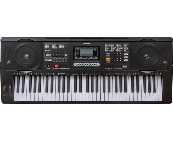  Синтезатор AIWA ASZ-613 